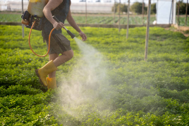Best Pest Prevention Services  in Sherwood, OR