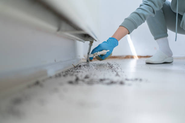 Best Flea Control Services  in Sherwood, OR